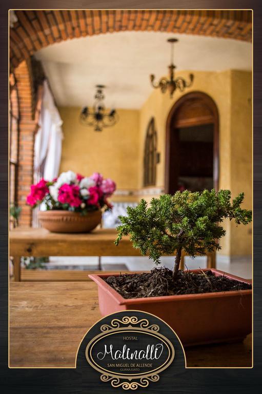 Hostal Malinalli San Miguel de Allende Kültér fotó